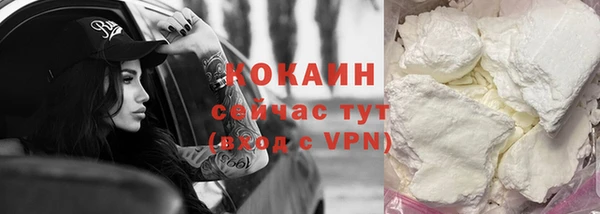 mdpv Богородицк