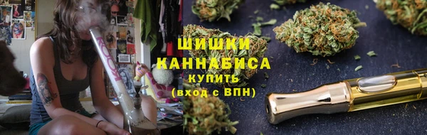 стафф Вязьма